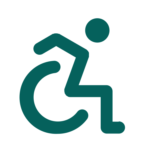 language Icon